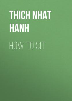 Скачать How to Sit - Thich Nhat Hanh
