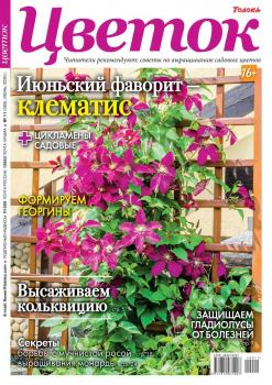 Скачать Цветок 11-2020 - Редакция журнала Цветок