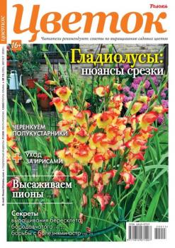 Скачать Цветок 15-2020 - Редакция журнала Цветок