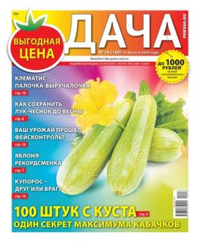 Скачать Дача Pressa.ru 16-2020 - Редакция газеты Дача Pressa.ru