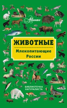 Скачать Животные. Млекопитающие России - В. Г. Бабенко