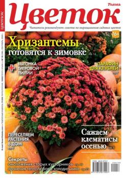 Скачать Цветок 18-2020 - Редакция журнала Цветок