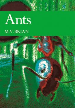 Скачать Ants - M. V. Brian