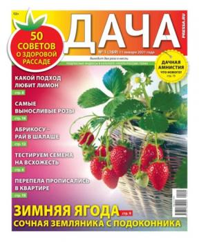 Скачать Дача Pressa.ru 01-2021 - Редакция газеты Дача Pressa.ru