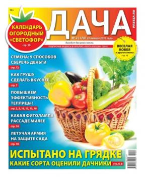 Скачать Дача Pressa.ru 02-2021 - Редакция газеты Дача Pressa.ru
