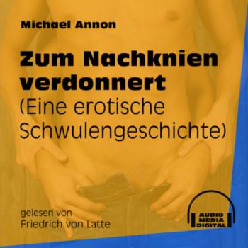 Скачать Zum Nachknien verdonnert - Eine erotische Schwulengeschichte (Ungekürzt) - Michael Annon