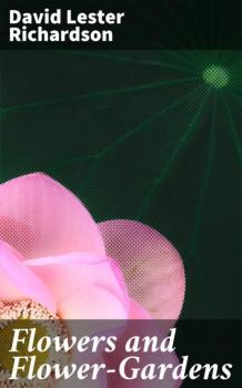 Скачать Flowers and Flower-Gardens - David Lester Richardson