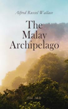 Скачать The Malay Archipelago (Vol. 1&2) - Alfred Russel Wallace