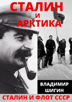 Скачать Сталин и Арктика - Владимир Шигин