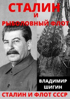 Скачать Сталин и рыболовный флот СССР - Владимир Шигин