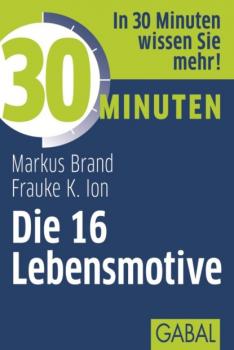 Скачать 30 Minuten Die 16 Lebensmotive - Frauke Ion