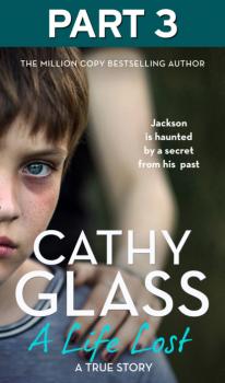 Скачать A Life Lost: Part 3 of 3 - Cathy Glass