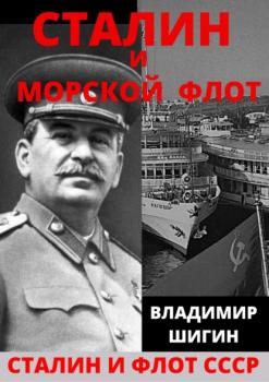 Скачать Сталин и морской флот СССР - Владимир Шигин