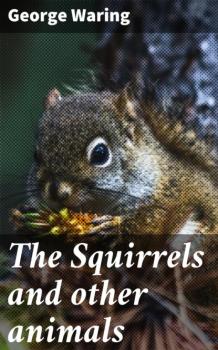 Скачать The Squirrels and other animals - George Waring