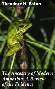 Скачать The Ancestry of Modern Amphibia: A Review of the Evidence - Theodore H. Eaton