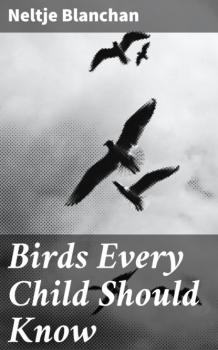 Скачать Birds Every Child Should Know - Blanchan Neltje