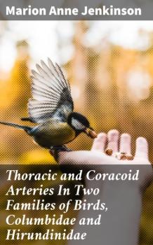 Скачать Thoracic and Coracoid Arteries In Two Families of Birds, Columbidae and Hirundinidae - Marion Anne Jenkinson