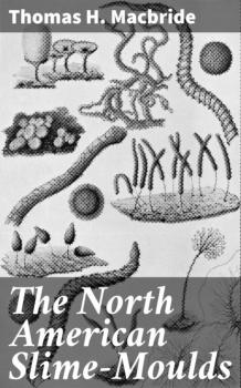 Скачать The North American Slime-Moulds - Thomas H. Macbride