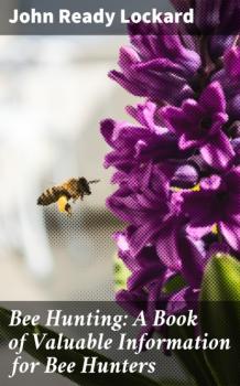 Скачать Bee Hunting: A Book of Valuable Information for Bee Hunters - John Ready Lockard