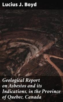 Скачать Geological Report on Asbestos and its Indications, in the Province of Quebec, Canada - Lucius J. Boyd