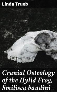 Скачать Cranial Osteology of the Hylid Frog, Smilisca baudini - Linda Trueb