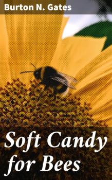 Скачать Soft Candy for Bees - Burton N. Gates
