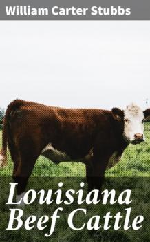 Скачать Louisiana Beef Cattle - William Carter Stubbs