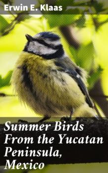 Скачать Summer Birds From the Yucatan Peninsula, Mexico - Erwin E. Klaas