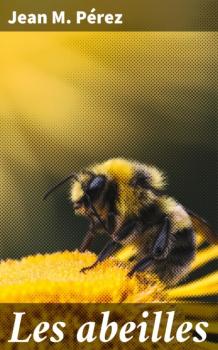 Скачать Les abeilles - Jean M. Pérez