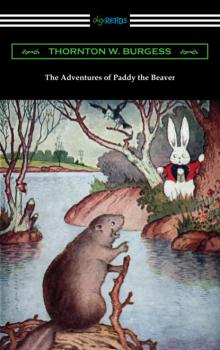 Скачать The Adventures of Paddy the Beaver - Thornton W. Burgess