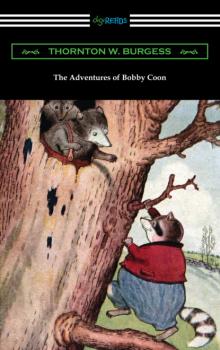 Скачать The Adventures of Bobby Coon - Thornton W. Burgess