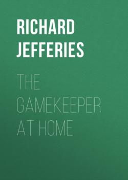 Скачать The Gamekeeper at Home - Richard  Jefferies
