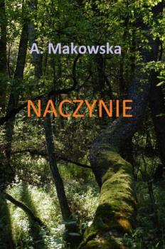 Скачать Naczynie - Agnieszka Makowska
