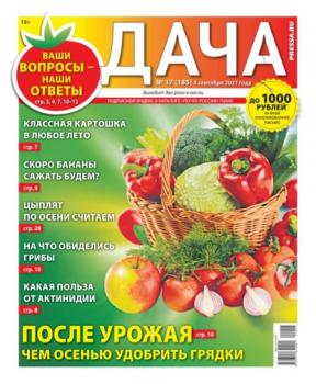 Скачать Дача Pressa.ru 17-2021 - Редакция газеты Дача Pressa.ru